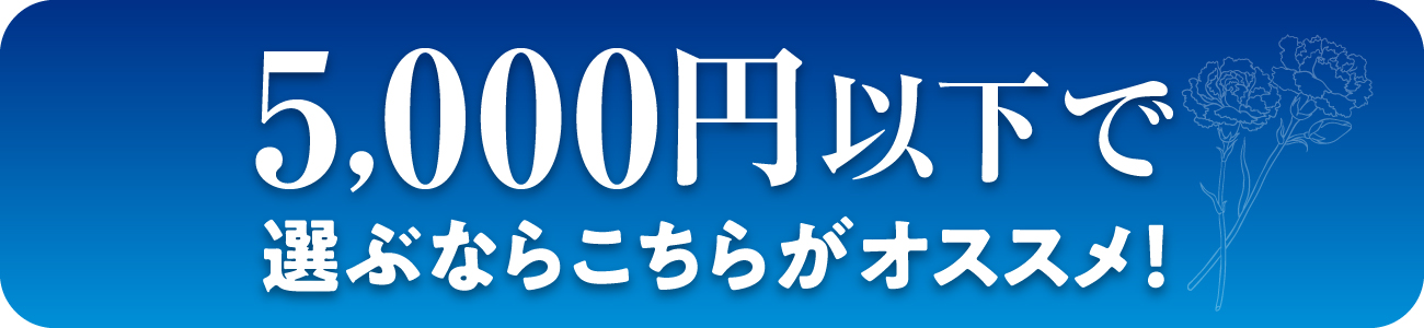 5,000円以下で選ぶならこちらがおすすめ！