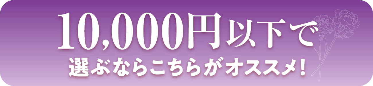 10,000円以下で選ぶならこちら！