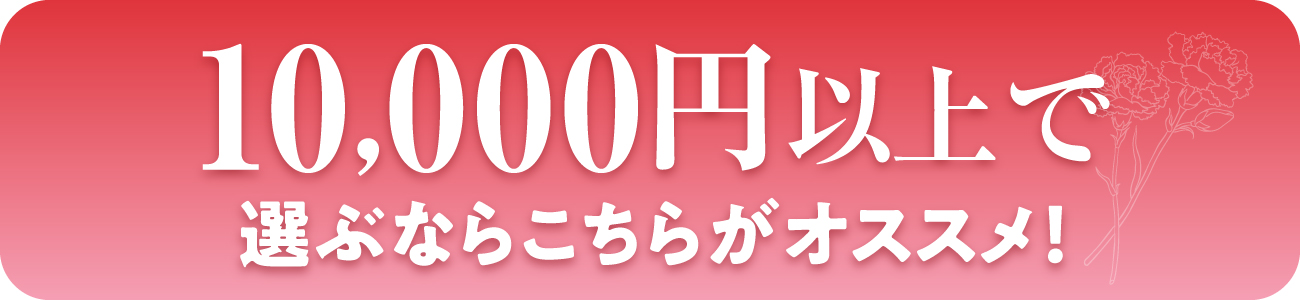 10,000円以上で選ぶならこちら！