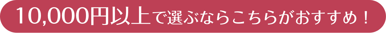 10,000円以上で選ぶならこちら！