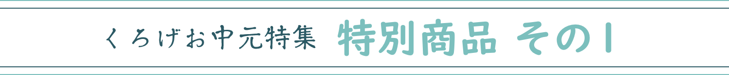 特別商品 その1