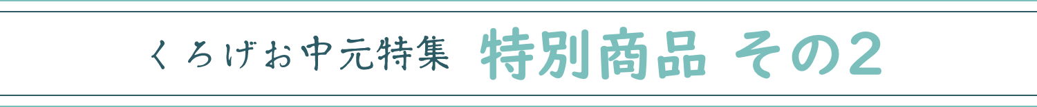 特別商品 その2