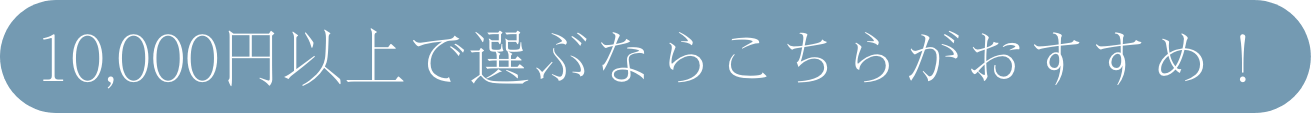 10,000円以上で選ぶならこちら！