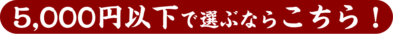 5,000円以下で選ぶならこちら！