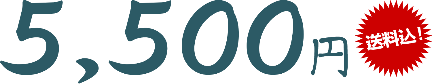 5,500円（送料込み）