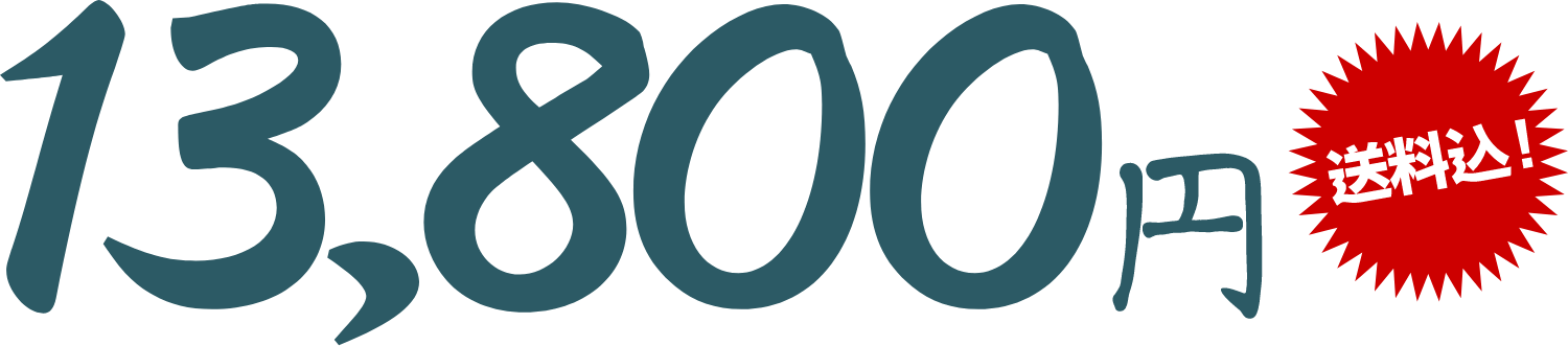 13,800円（送料込み）