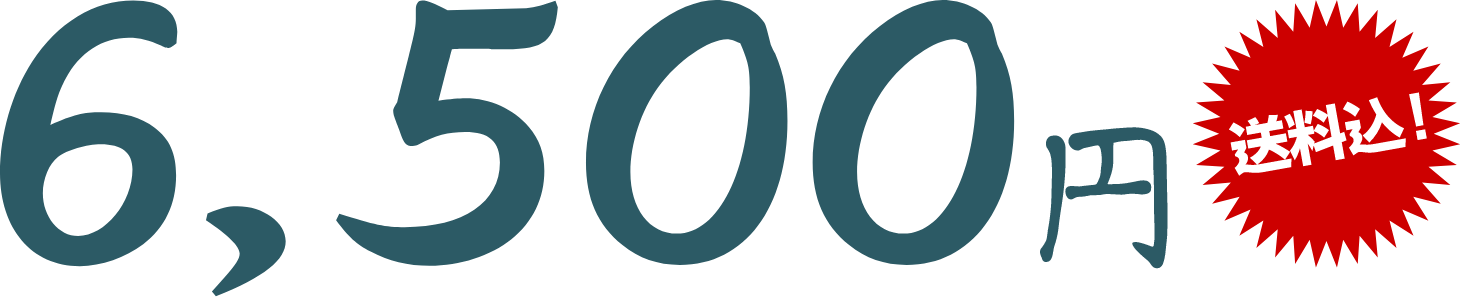 6,500円（送料込み）